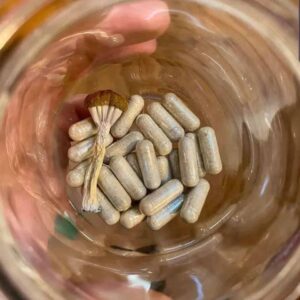 buy Microdosing capsules online