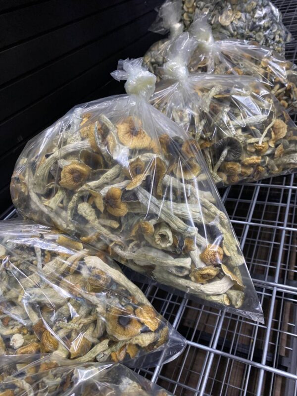 buy Mushrooms online